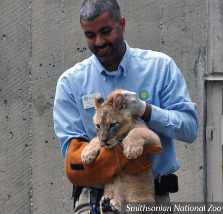 Should Grade 12 English be a Requirement for All Universities? – Howe's